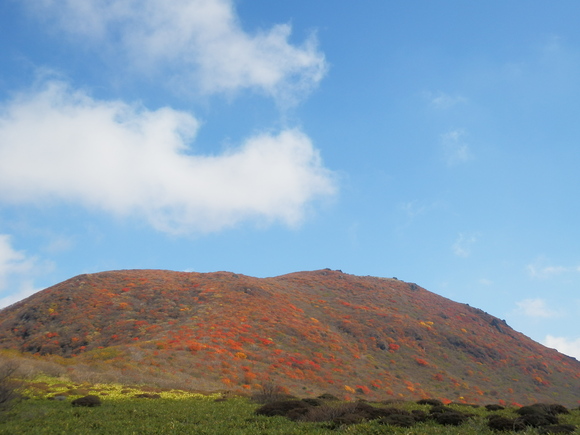 c0042869_17284414.jpg
