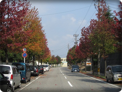 b0149071_11451586.jpg