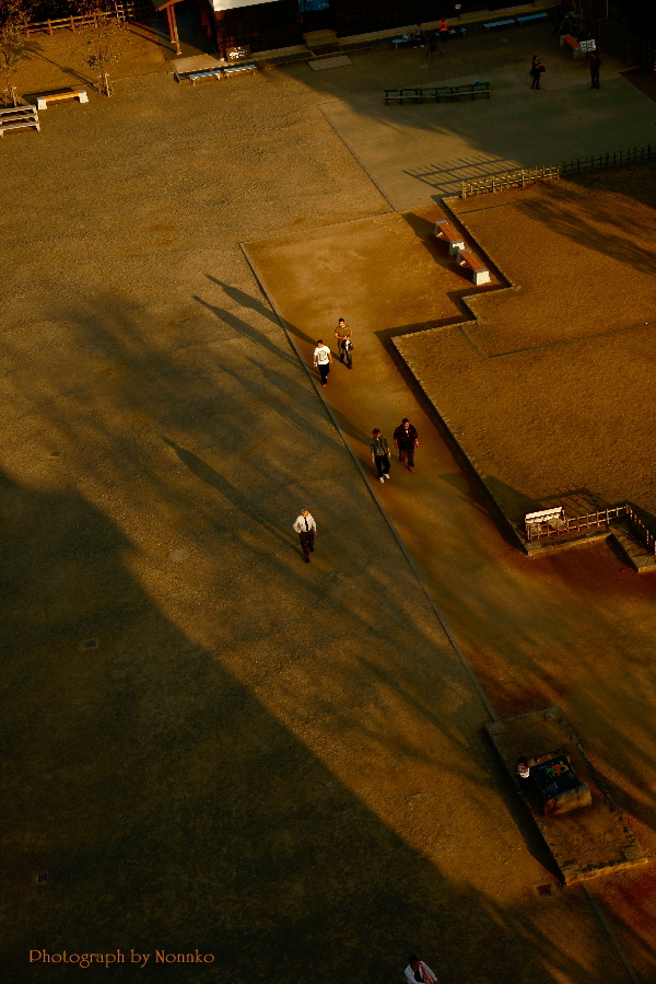 c0106977_20112777.jpg