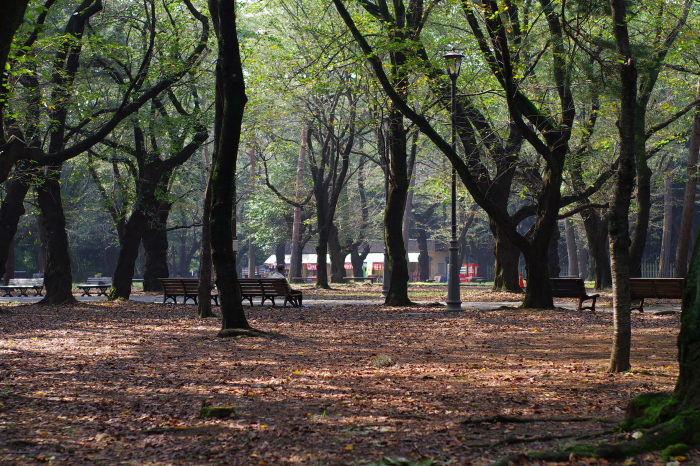 b0120979_171150.jpg