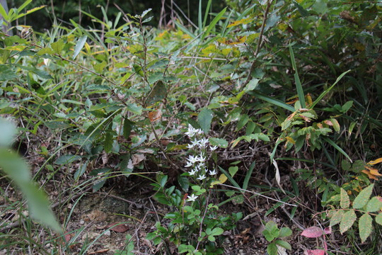 e0024081_18435284.jpg