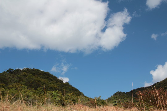 e0024081_1844267.jpg