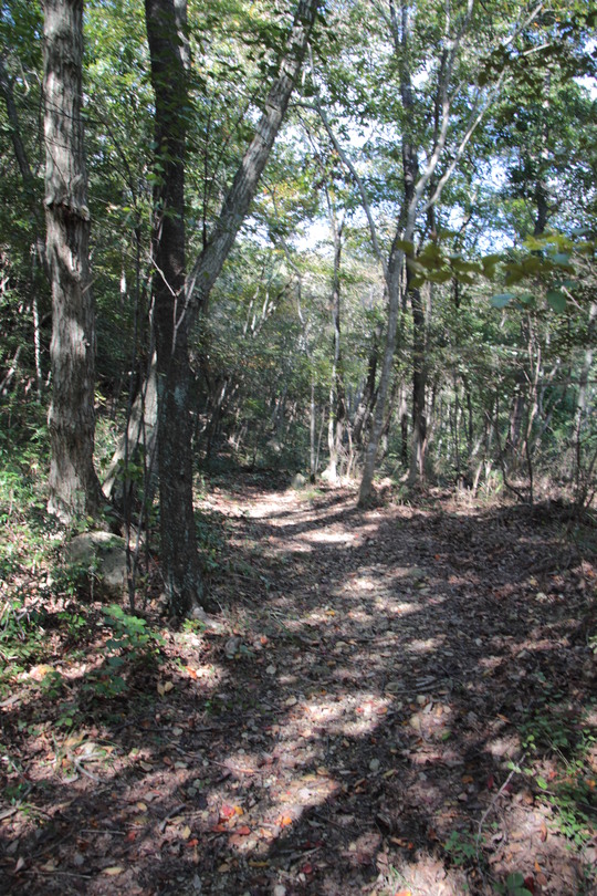 e0024081_18464532.jpg