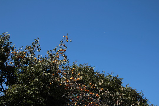 e0024081_18494644.jpg