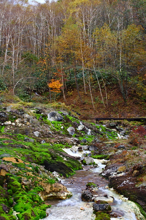 e0165983_10275794.jpg