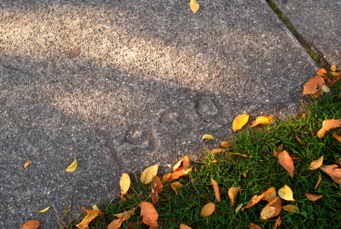 d0129786_1418547.jpg