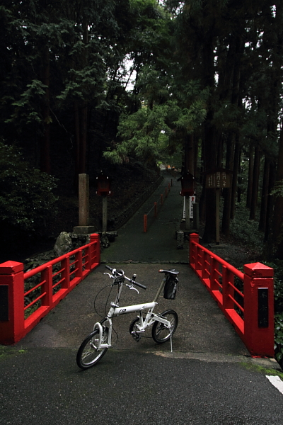 e0051888_254698.jpg
