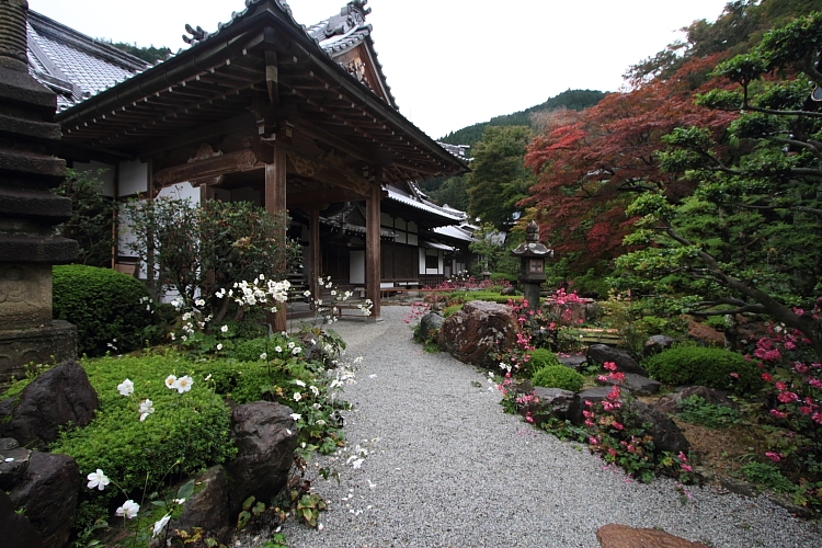 e0051888_31099.jpg