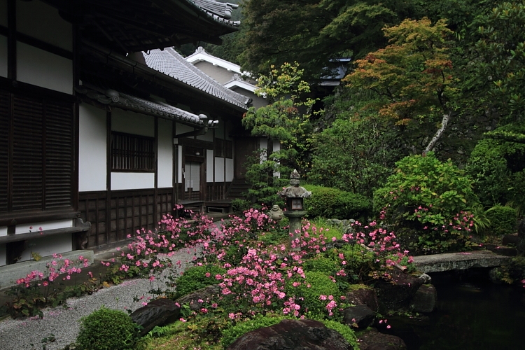 e0051888_311627.jpg