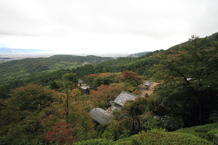 e0051888_333934.jpg