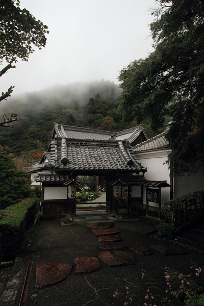 e0051888_362830.jpg
