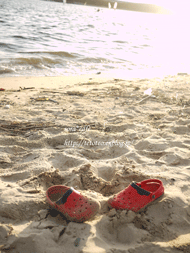 a0150193_1524741.gif