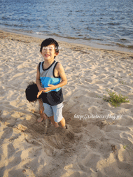 a0150193_1563369.gif