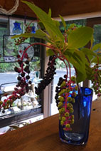 b0101300_12285861.jpg