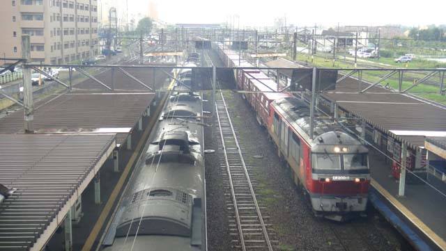 d0004301_23575928.jpg