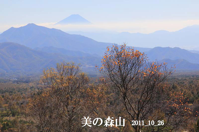 a0188405_14342165.jpg