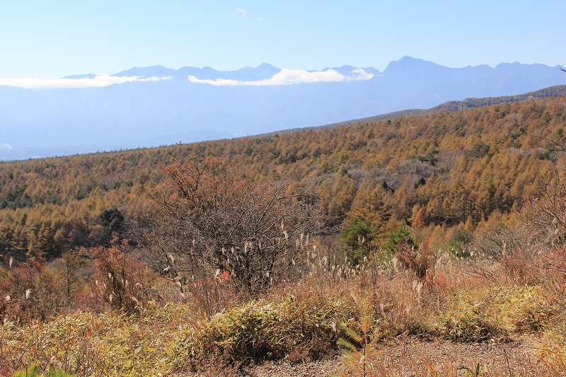 a0188405_14495881.jpg