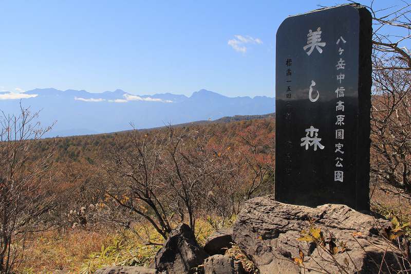 a0188405_1501482.jpg