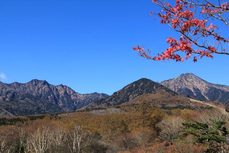 a0188405_151787.jpg