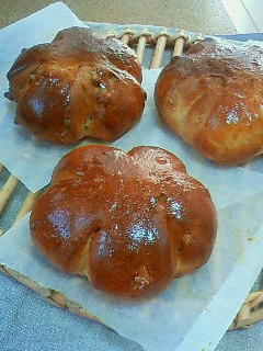 c0017505_13175011.jpg