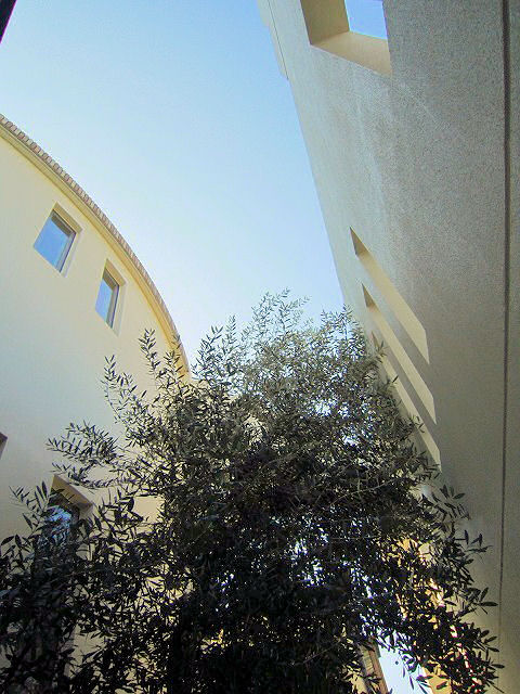 a0027014_15253542.jpg