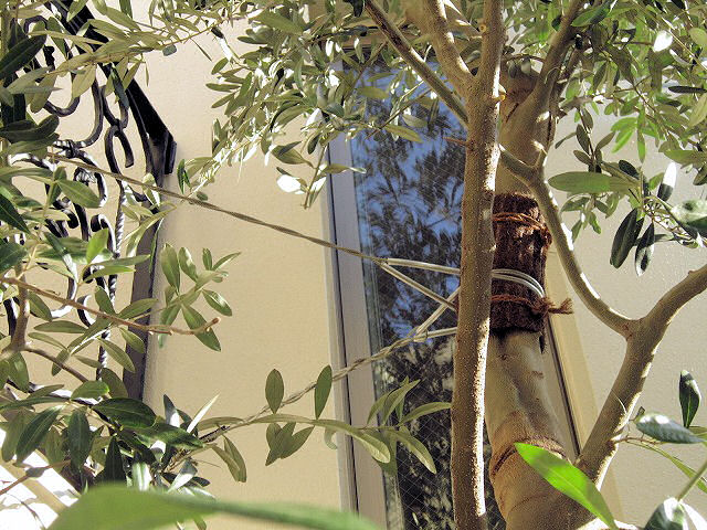 a0027014_15255478.jpg