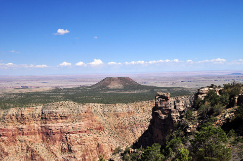 f0046614_21079.jpg