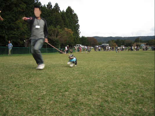 c0219815_1844363.jpg