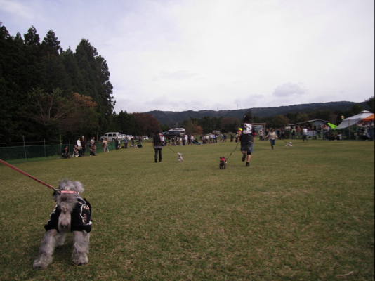 c0219815_18461650.jpg