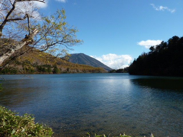 d0197317_740626.jpg
