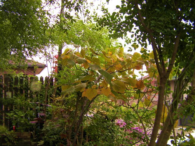 c0204121_911764.jpg