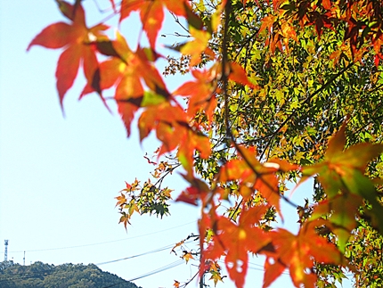 a0105023_22271155.jpg