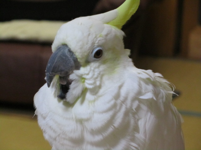 e0107730_02528.jpg
