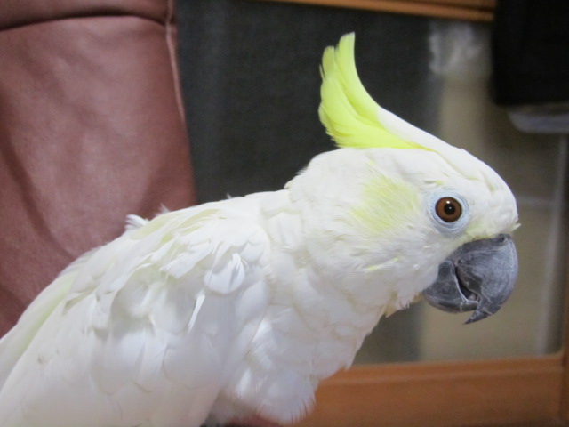 e0107730_093418.jpg