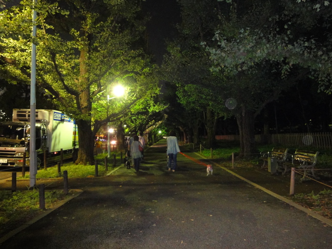 a0051443_2381330.jpg