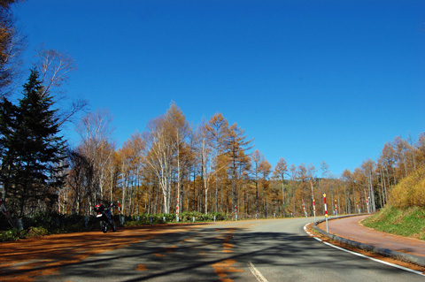 d0164443_2052525.jpg