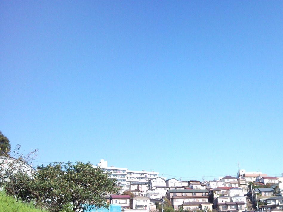 e0150843_1848648.jpg