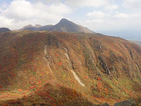 e0164643_118139.jpg