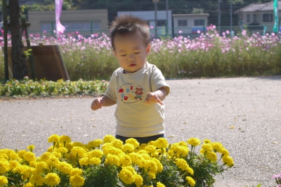 f0167844_13371441.jpg