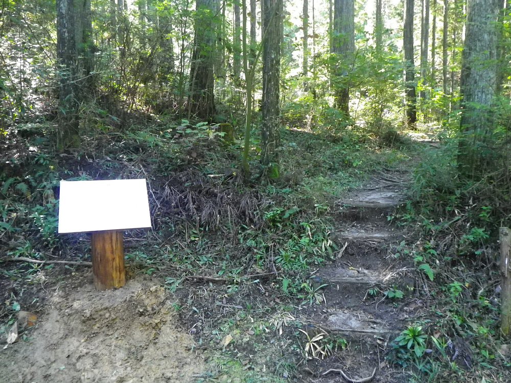 c0042847_22574356.jpg