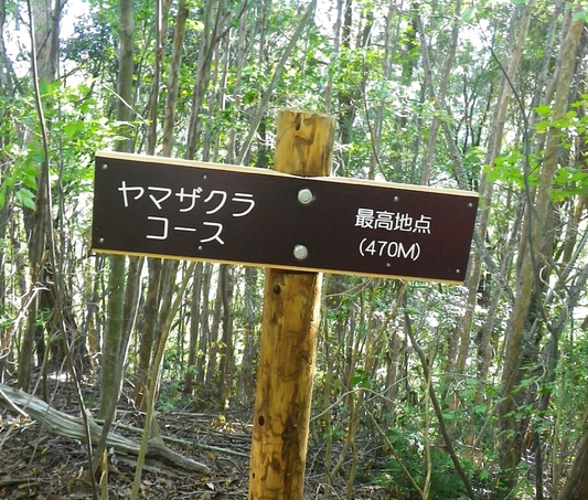 c0042847_23124268.jpg