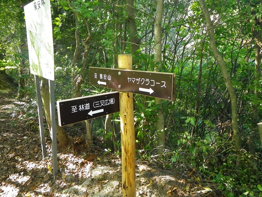 c0042847_23131499.jpg