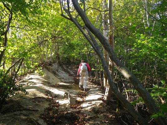 c0042847_23144651.jpg