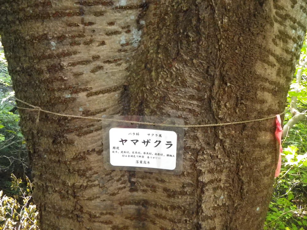 c0042847_232249.jpg