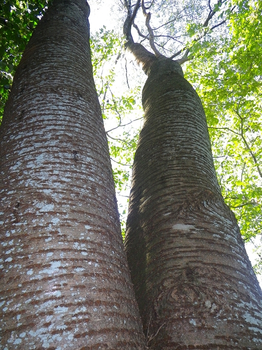 c0042847_23295610.jpg