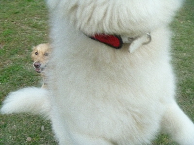 e0121548_2137089.jpg