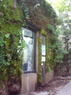 b0119950_20125331.jpg
