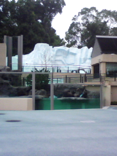 b0119950_2055892.jpg