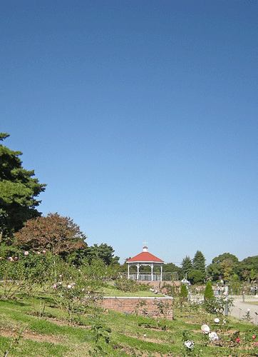 a0001354_18491336.gif