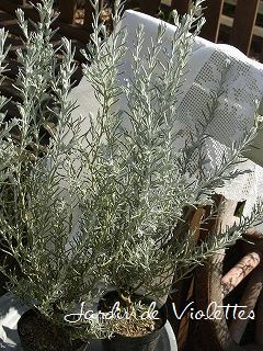 e0118257_15472291.jpg